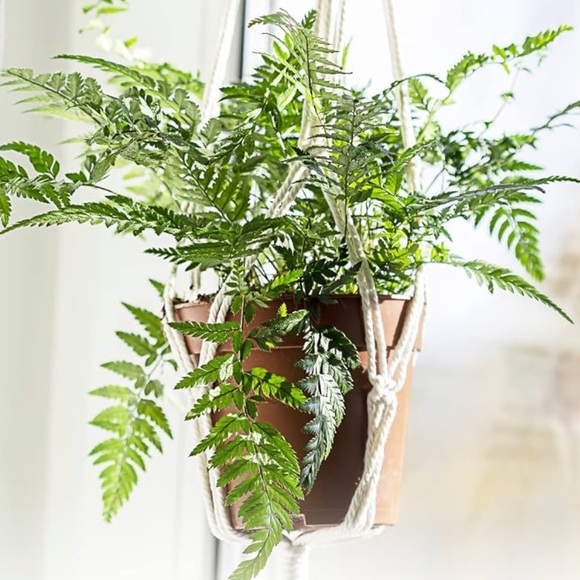 Macrame Plant Hanger with tassel - Picture 2 of 8